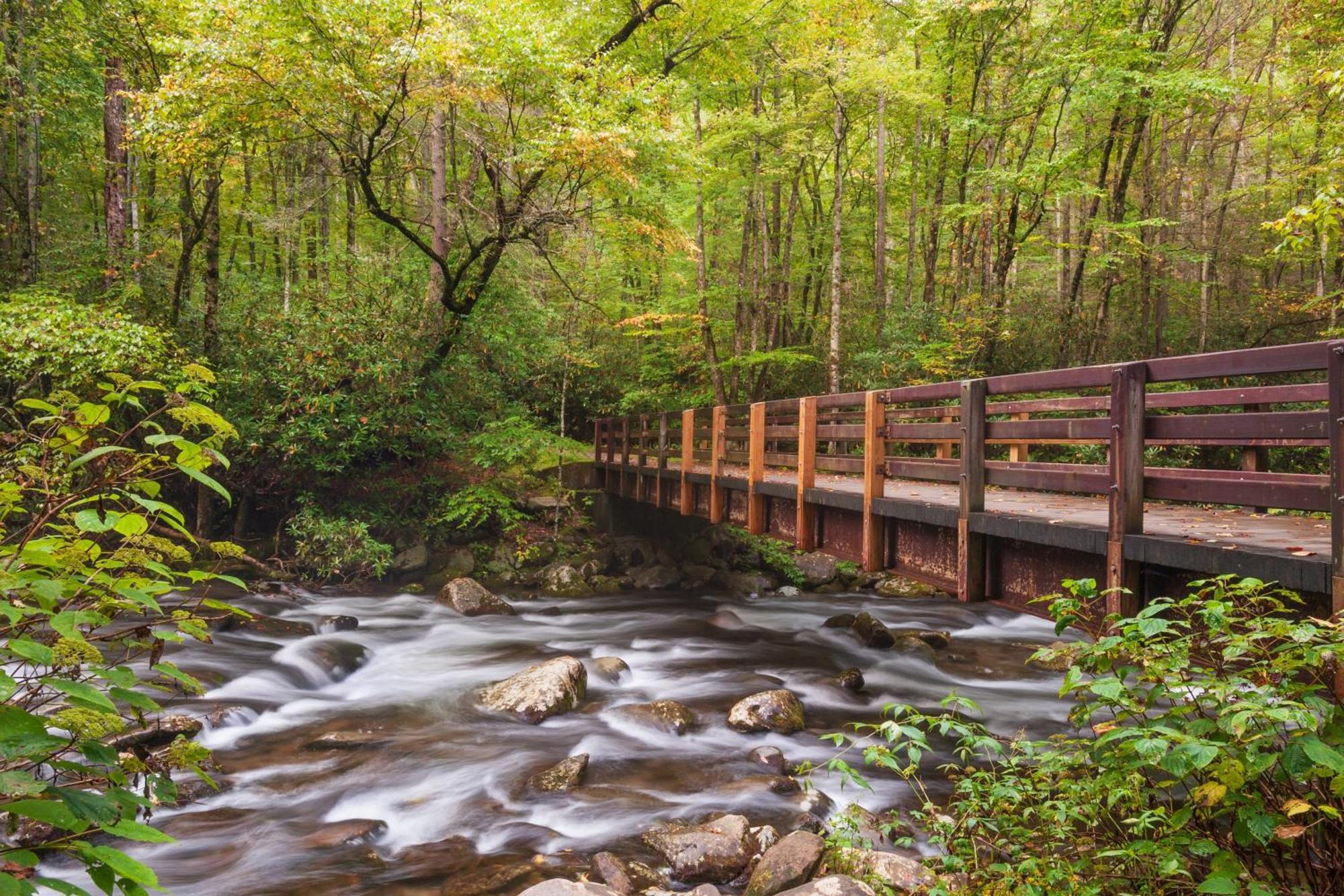 Alpine Joy-Hot Tub, Pond Access ,1089 Of Free Tickets For Each Paid Day, Dollywood And More! タウンゼンド エクステリア 写真