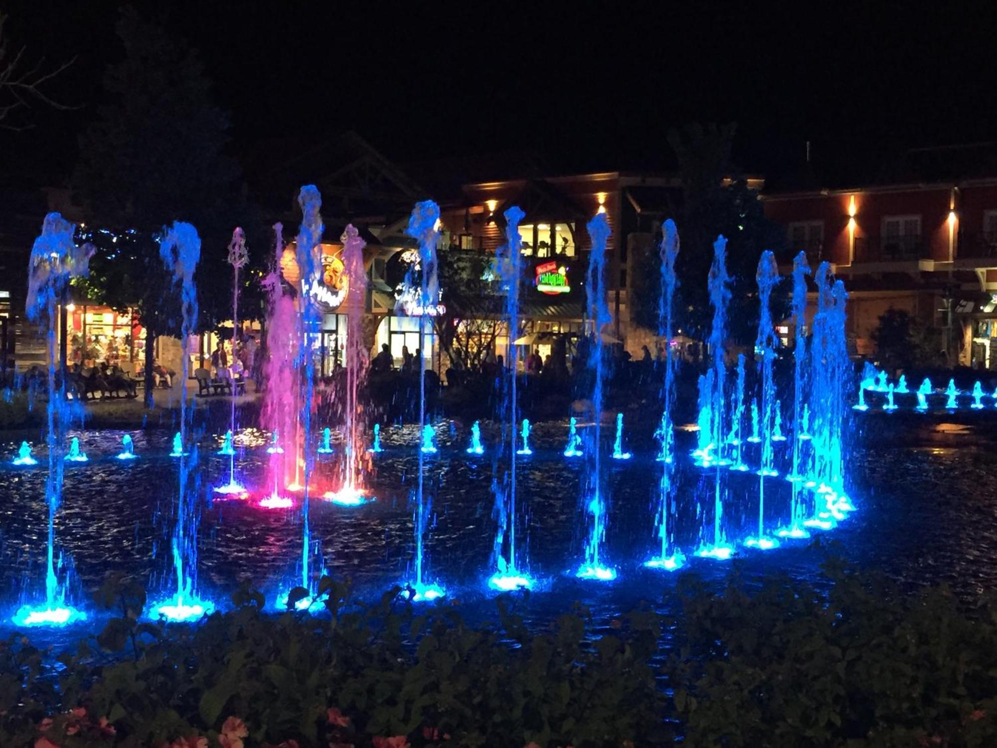 Alpine Joy-Hot Tub, Pond Access ,1089 Of Free Tickets For Each Paid Day, Dollywood And More! タウンゼンド 部屋 写真