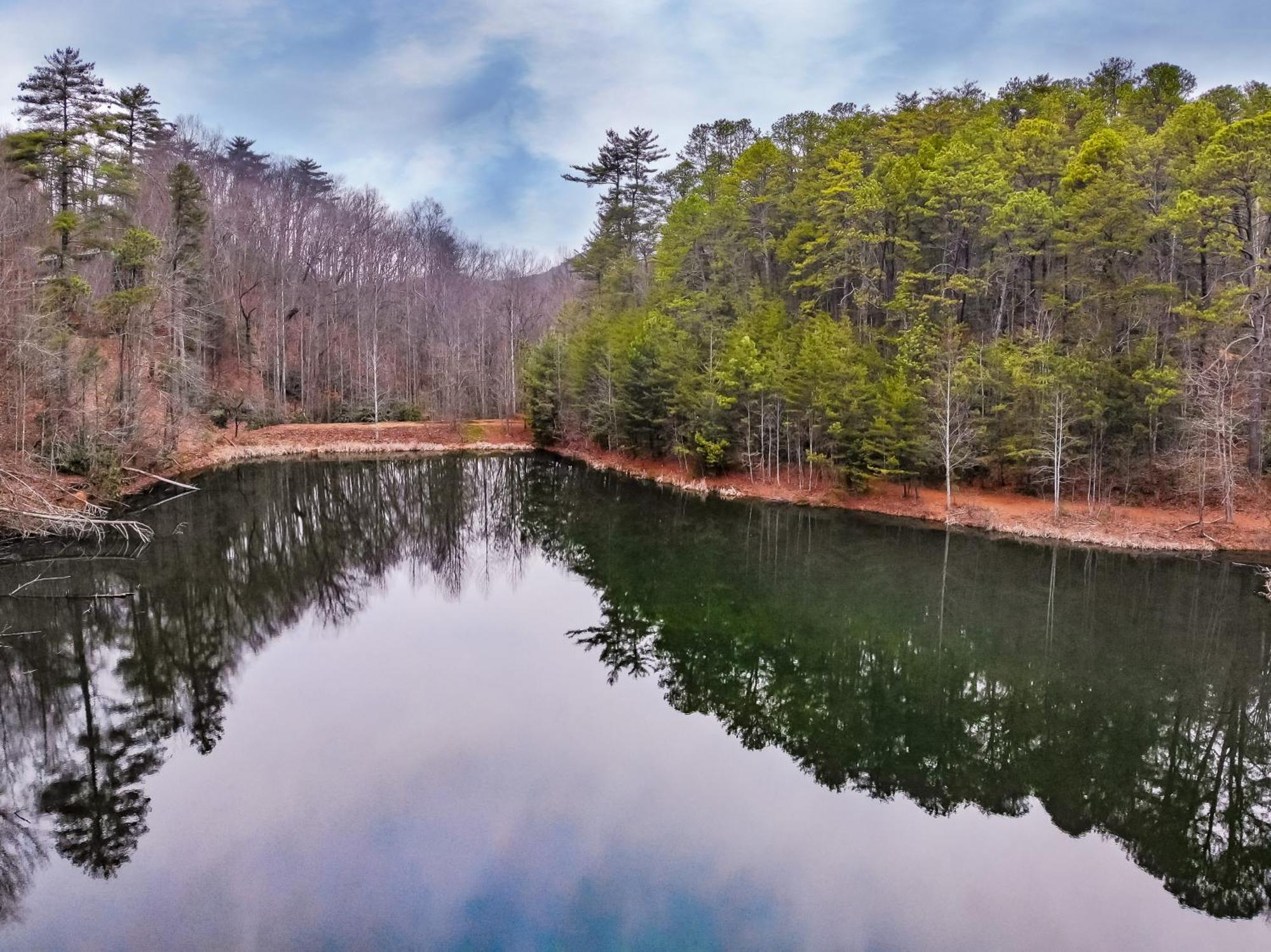 Alpine Joy-Hot Tub, Pond Access ,1089 Of Free Tickets For Each Paid Day, Dollywood And More! タウンゼンド 部屋 写真