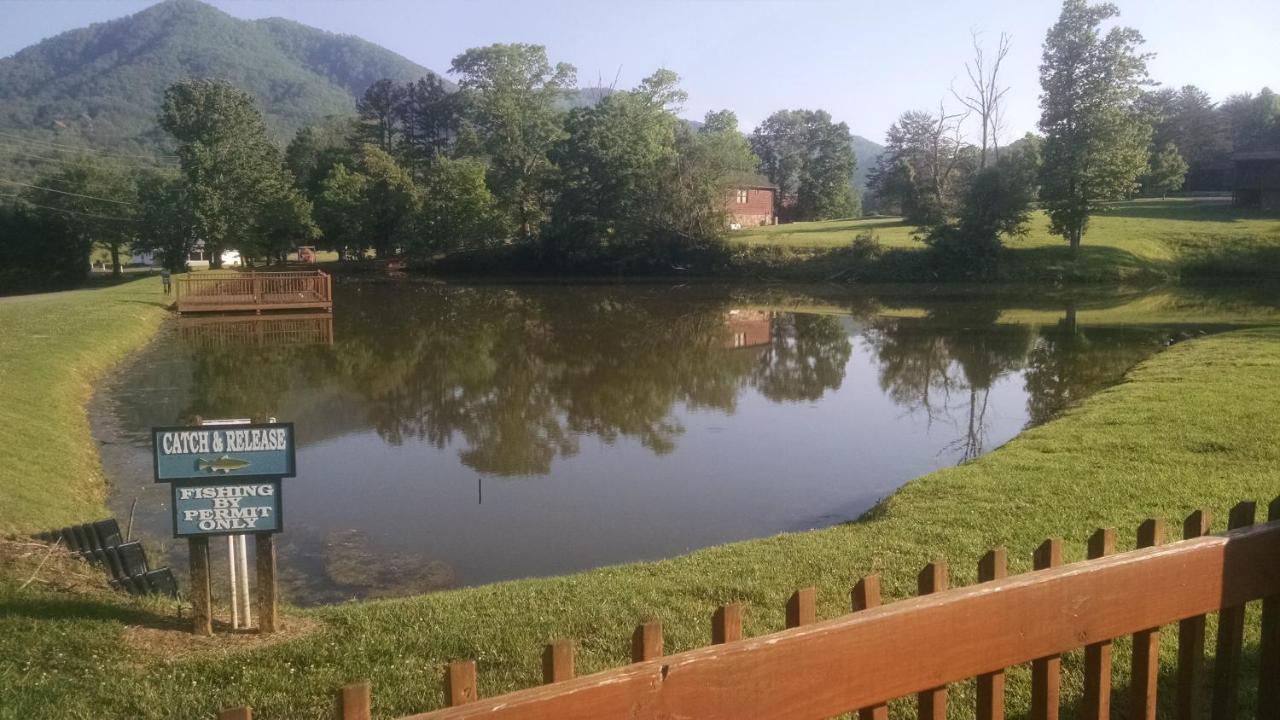 Alpine Joy-Hot Tub, Pond Access ,1089 Of Free Tickets For Each Paid Day, Dollywood And More! タウンゼンド エクステリア 写真